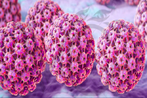 HPV