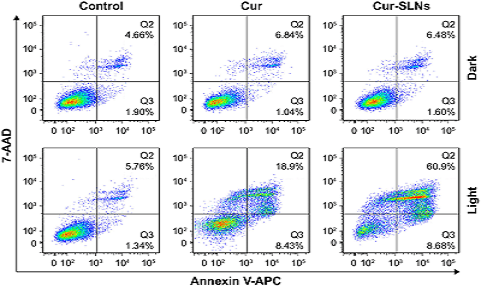 7-AAD Viability Staining Solution