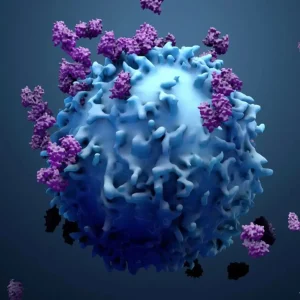 t cells t cells