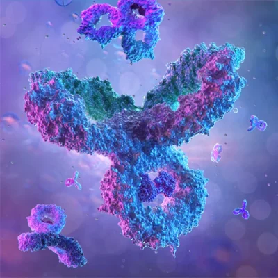 آنتی بادی ER(Estrogen Receptor) کلون MXR030 برند PathoSage